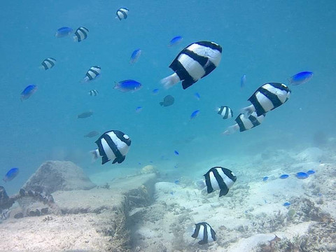 Mimpi Manis Kuta Lombok - Fishing Trip-Kuta必去景点
