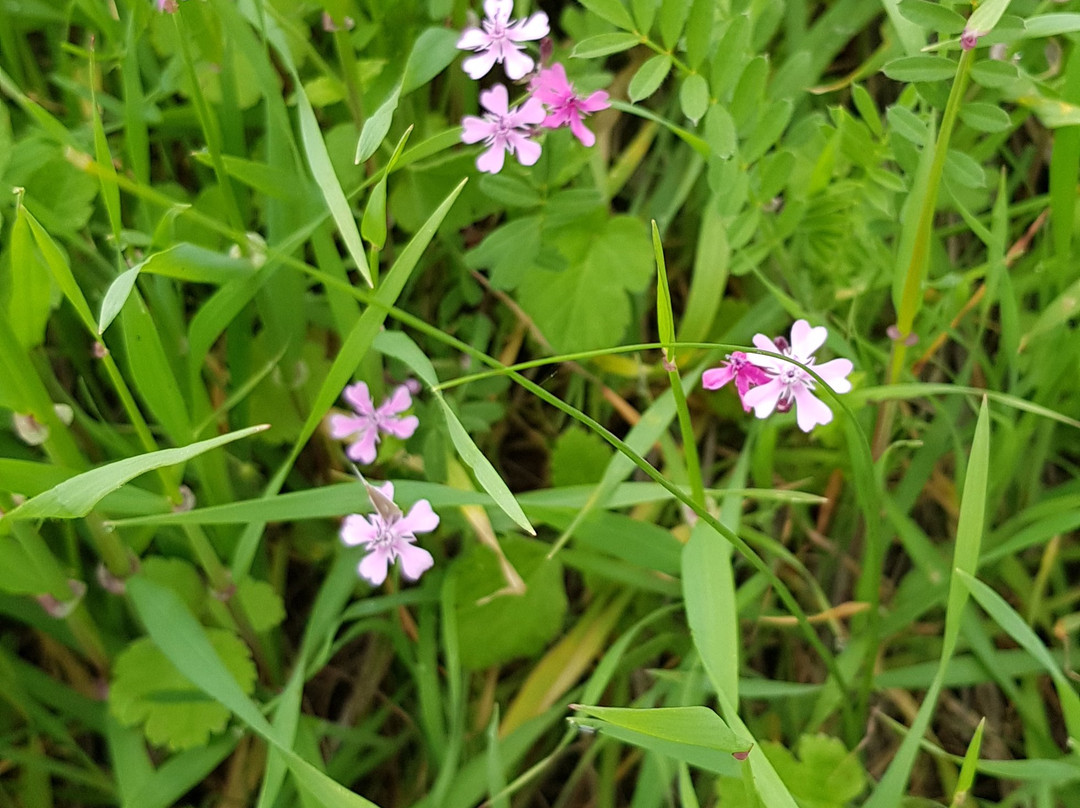 Mount Gilbo'a-Afula必去景点
