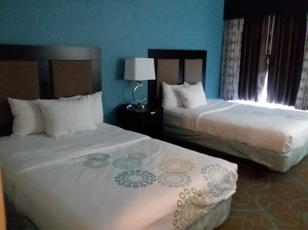 Spark By Hilton Kingsland主图