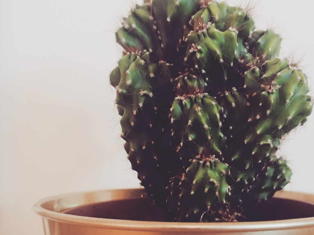 Hambleton House主图