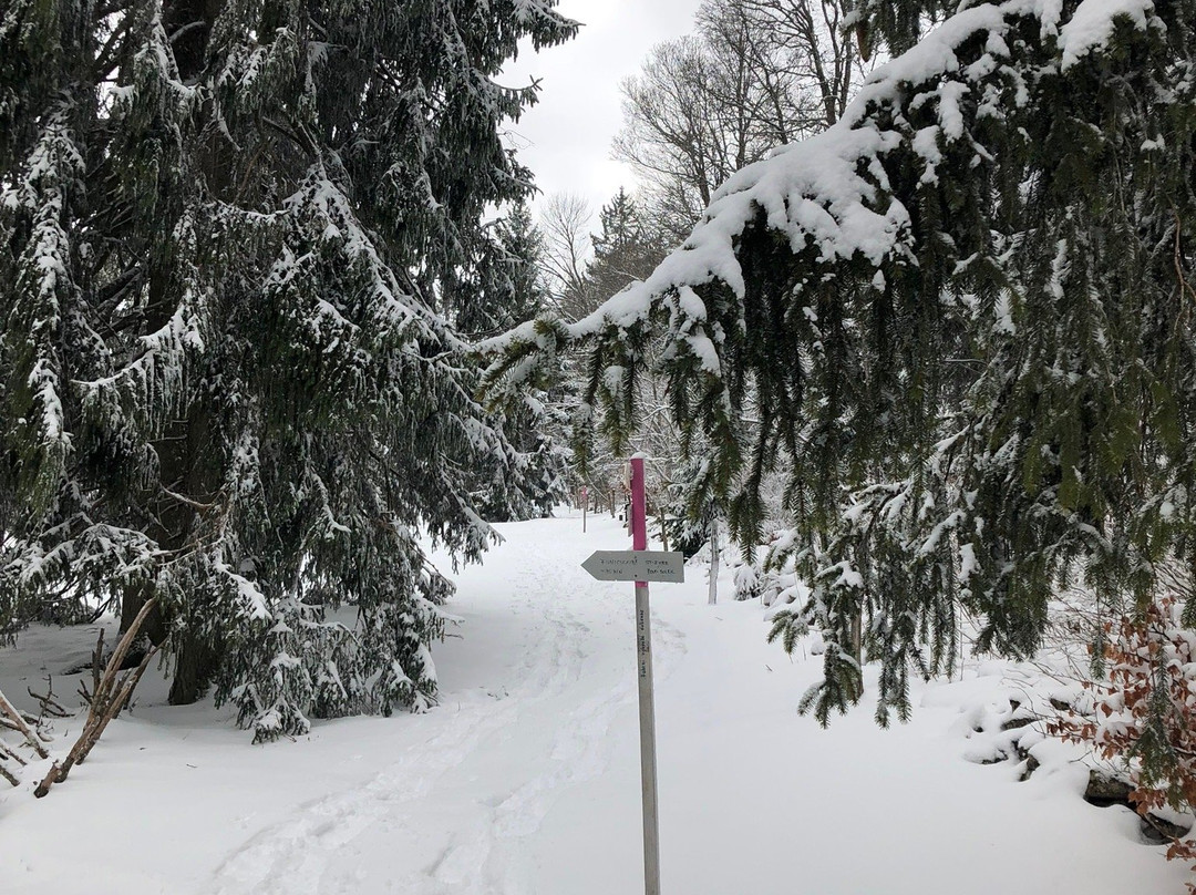 Funiculaire Saint-Imier-Mont-Soleil-Saint-Imier必去景点