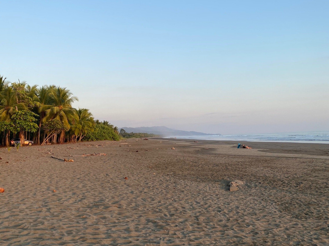 La Palapa Eco Lodge Resort主图