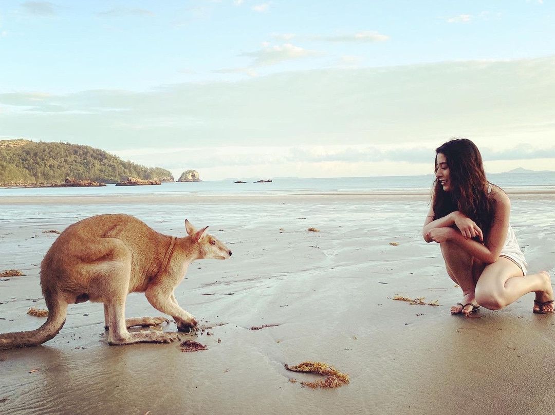 Sacred Owl Tours (Port Douglas)-道格拉斯港必去景点