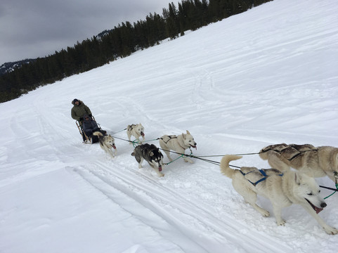 Sierra Adventures-里诺必去景点