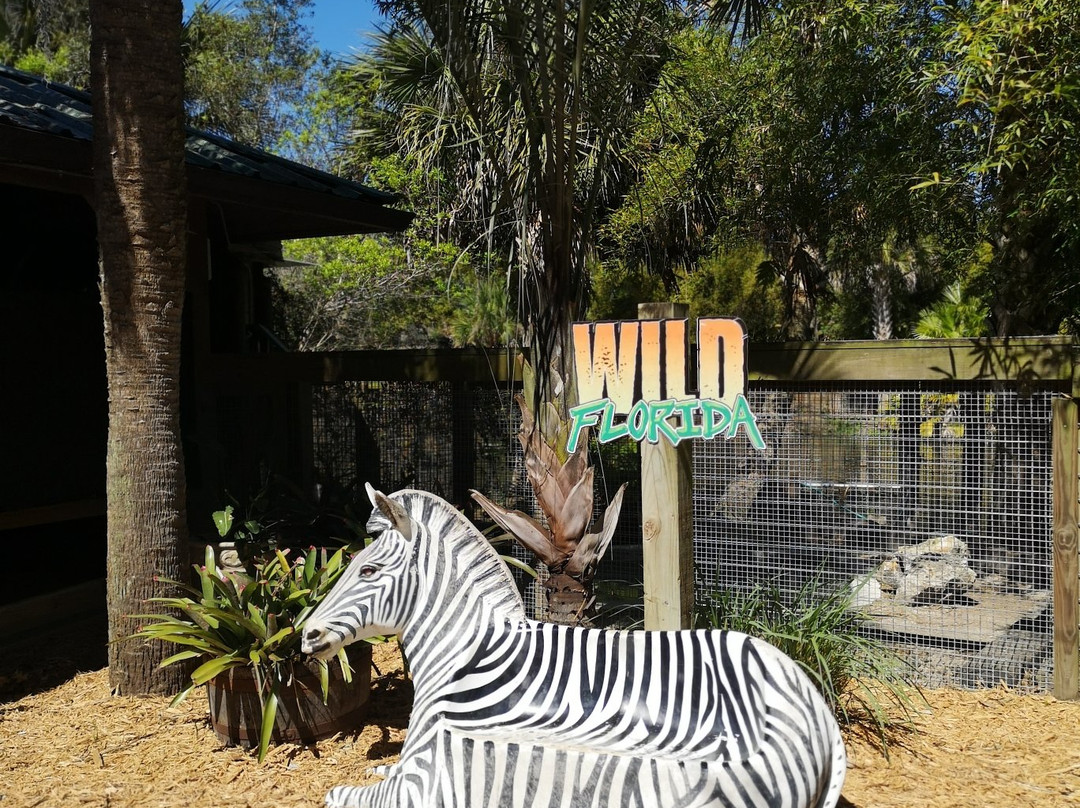 Wild Florida Airboats & Gator Park-Kenansville必去景点