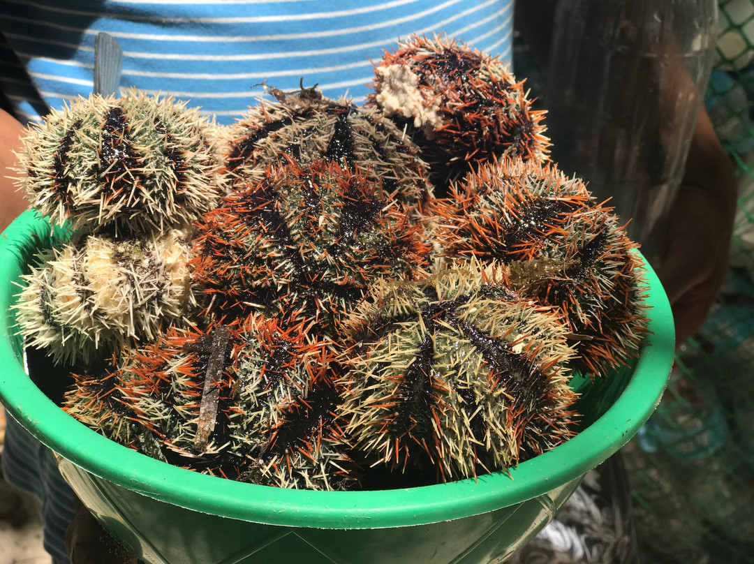 Mantigue Island-Mahinog必去景点