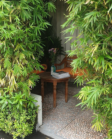 Sumatra Orangutan Tours-武吉拉旺必去景点