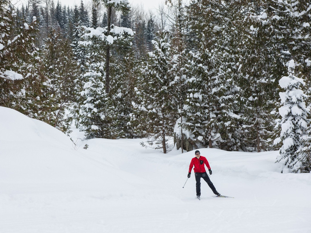 Elk Valley Nordic Centre景点图片