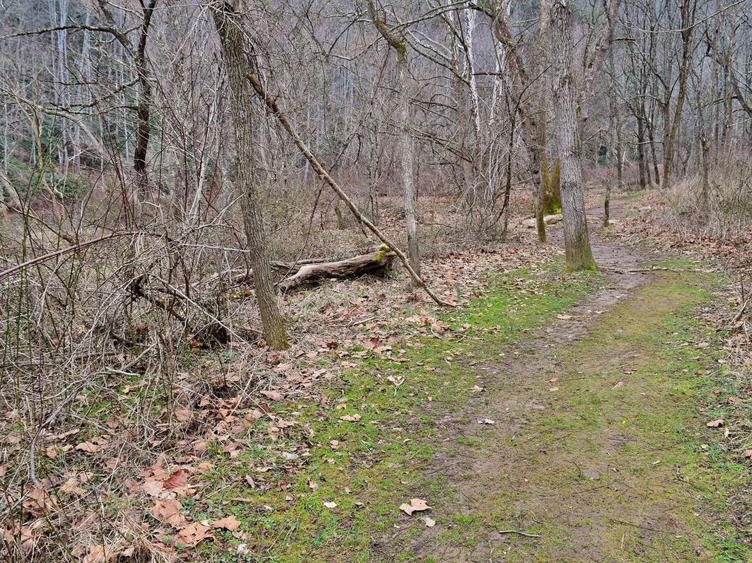 New River State Park景点图片