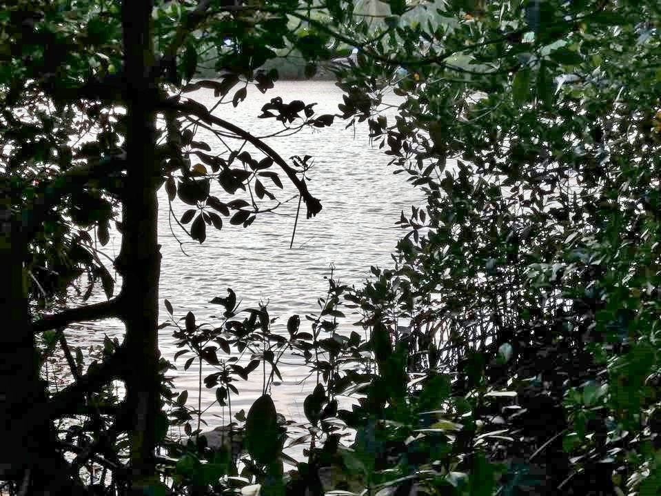 Lagoon Trail景点图片