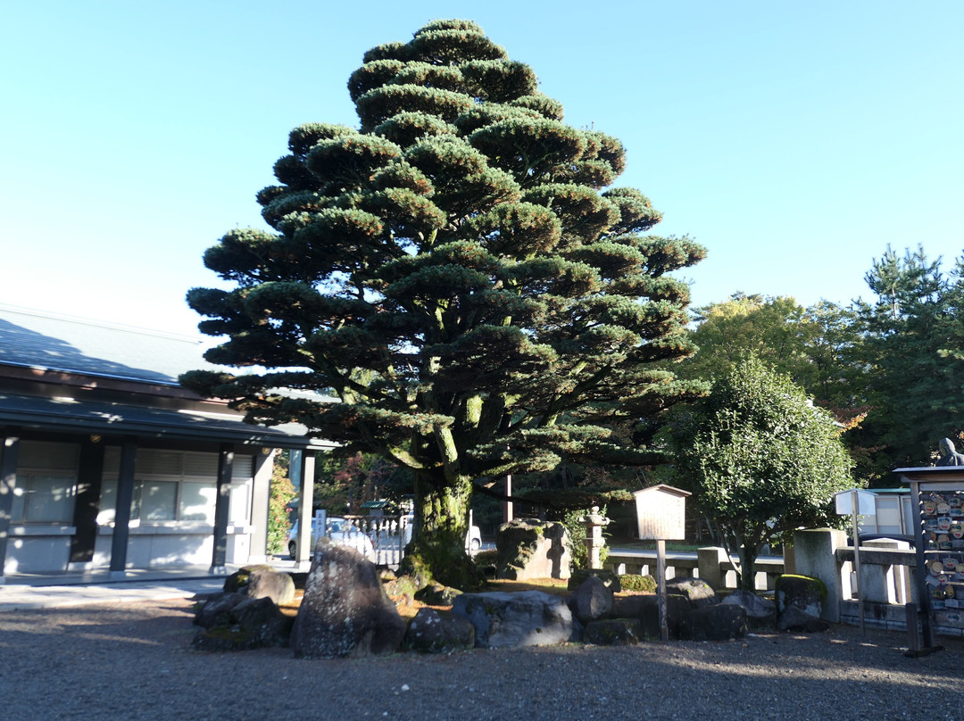 Gokoku Jinja Shrine景点图片