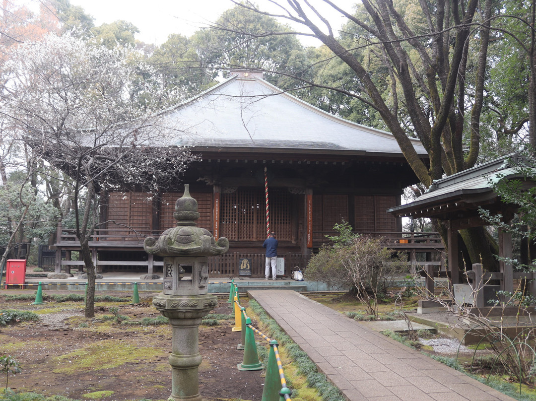 Kokubunji Yakushido-国分寺市必去景点