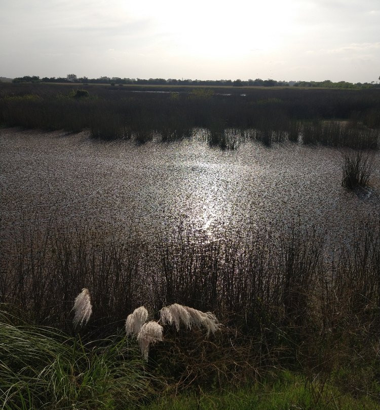 Laguna Navarro-Navarro必去景点