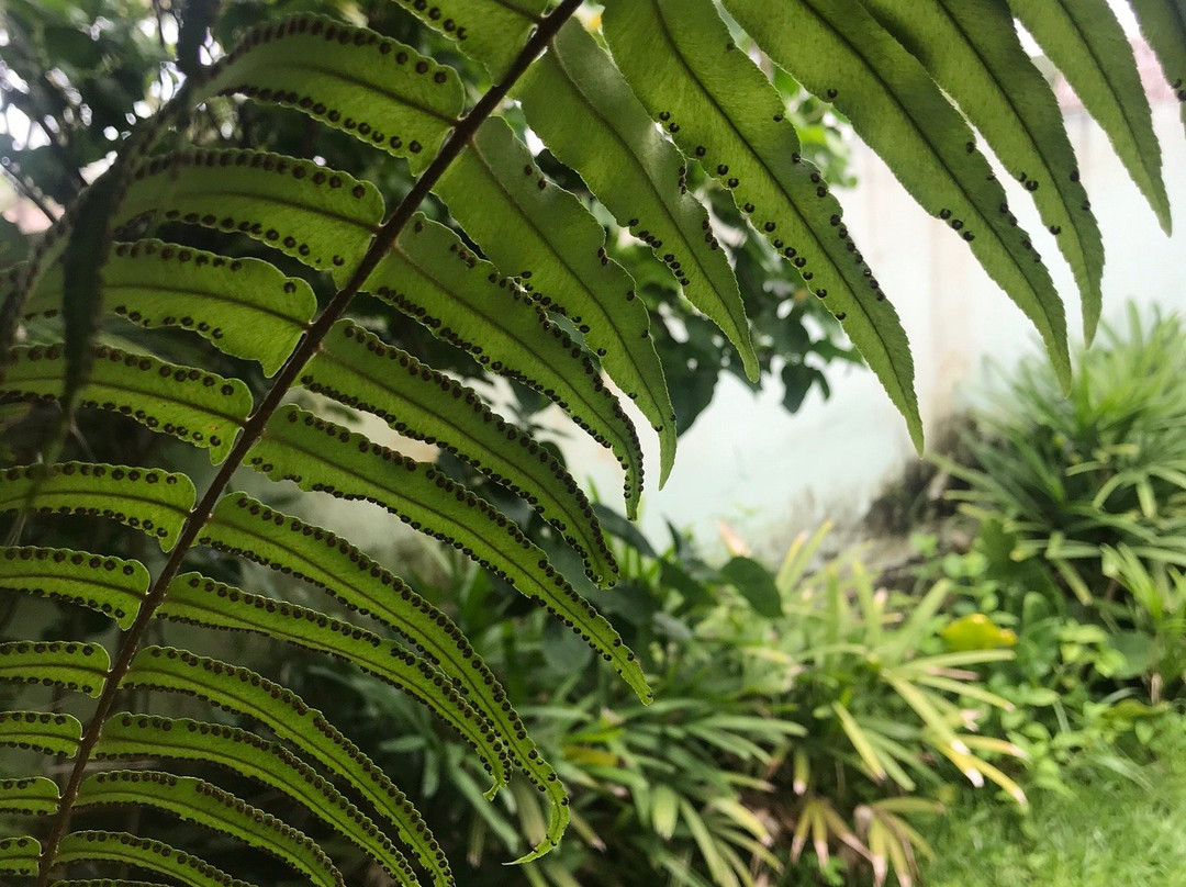 Casa de Caboclo主图