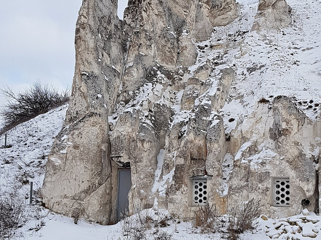 Holy Assumption Divnogorskiy Monastery景点图片