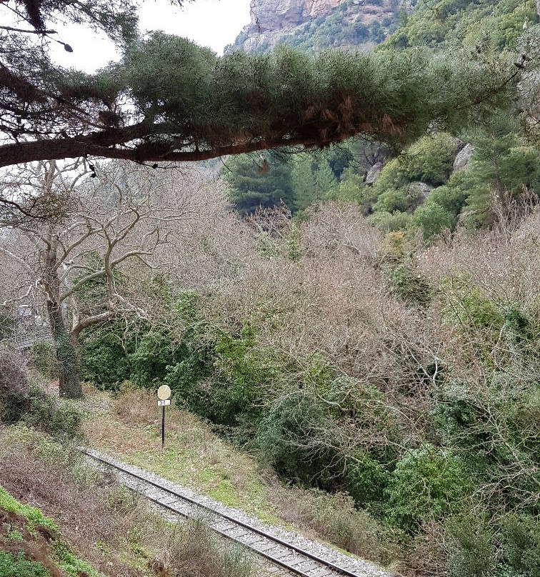 Gorge of Vouraikos-卡拉夫里塔必去景点