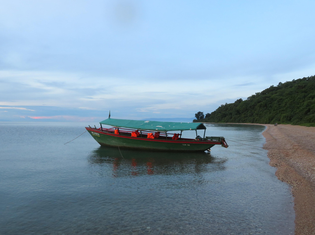 WE CAB TOURS & SAFARIS-Kigoma必去景点