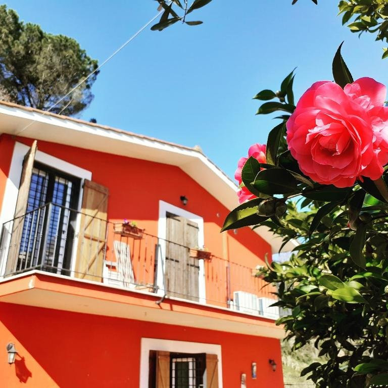 B&B Il Giardino delle Camelie主图