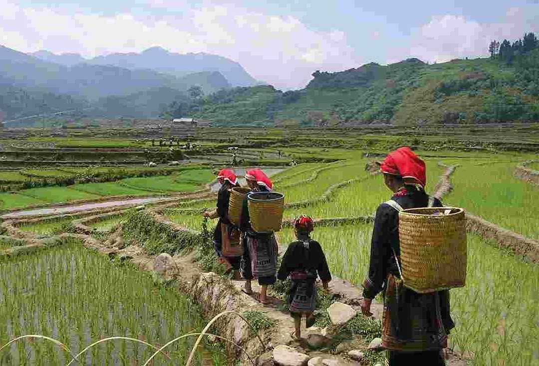 Local Tours ASIA景点图片