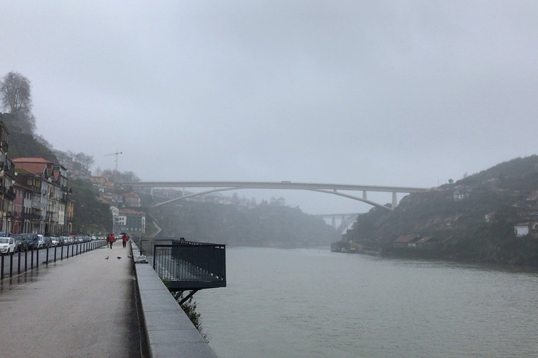 Ponte Infante Dom Henrique景点图片