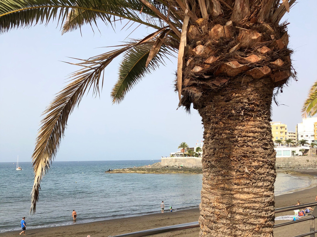 Las Marañuelas Beach景点图片