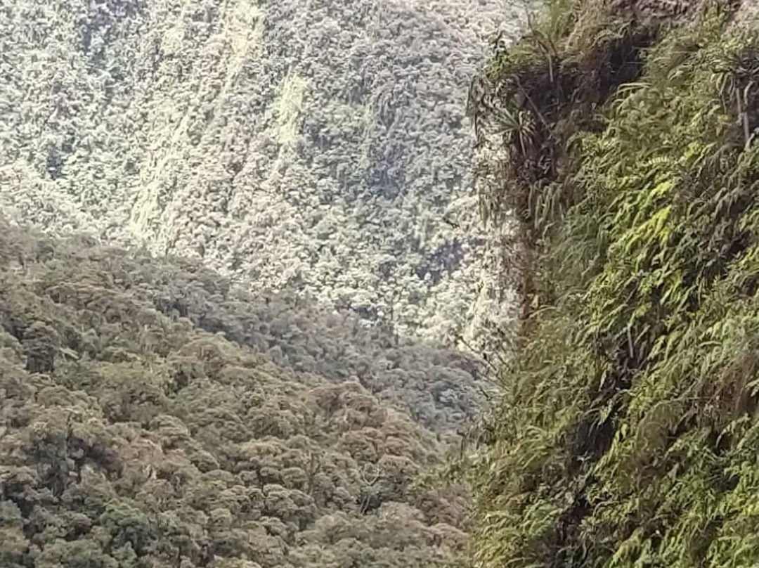 North Yungas Road-拉巴斯必去景点