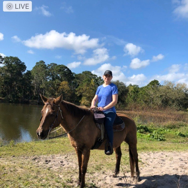 Florida Horseback Trail Rides景点图片