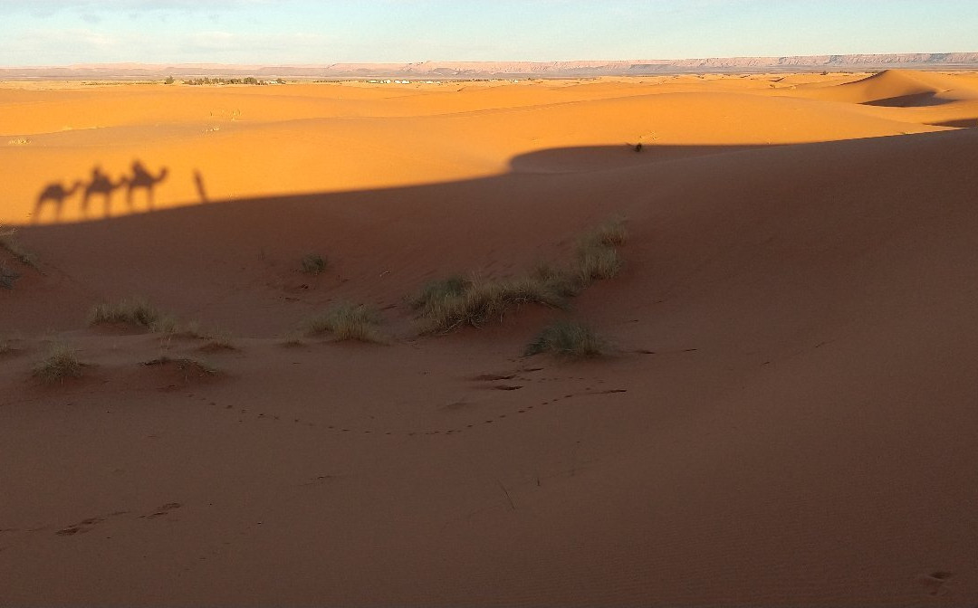 Erg Chebbi Dunes景点图片