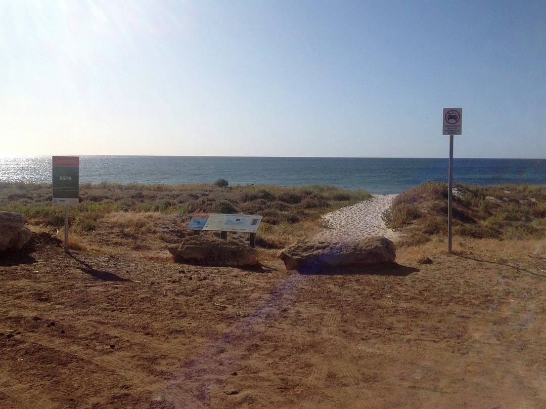 Forrest Beach-Capel必去景点