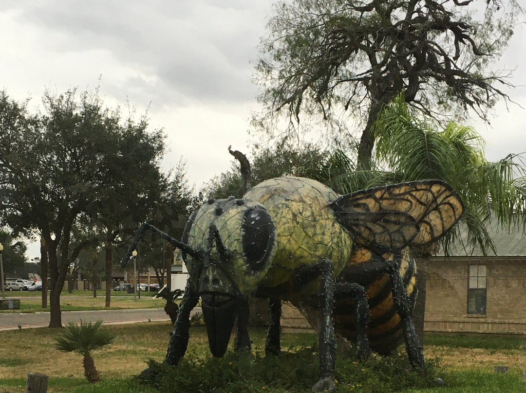 World's Largest Killer Bee-Hidalgo必去景点