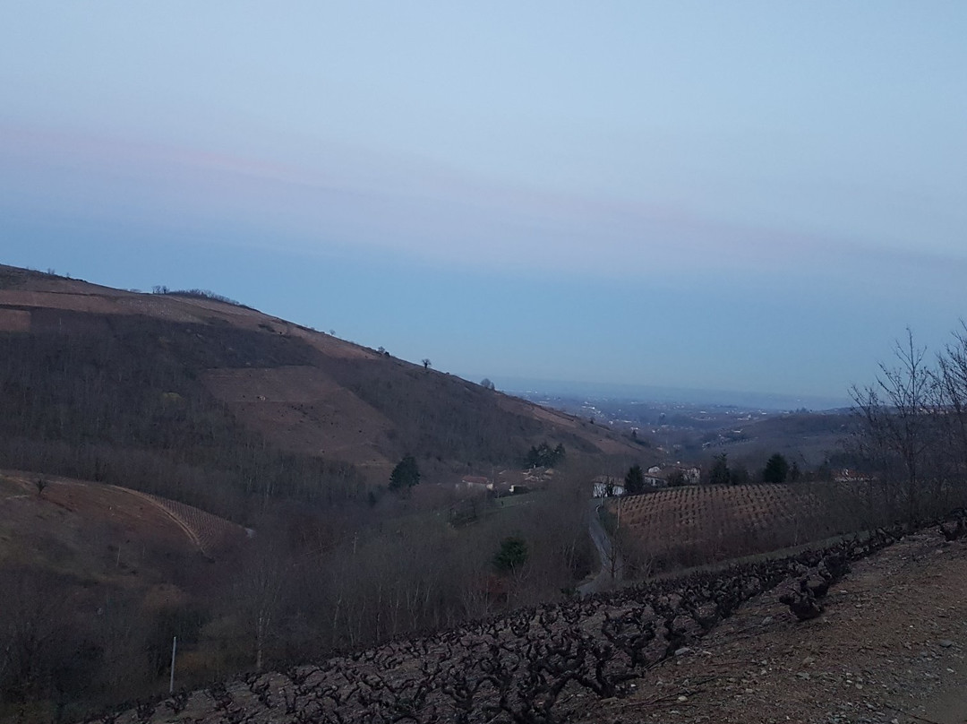 Le Perreon旅游攻略图片