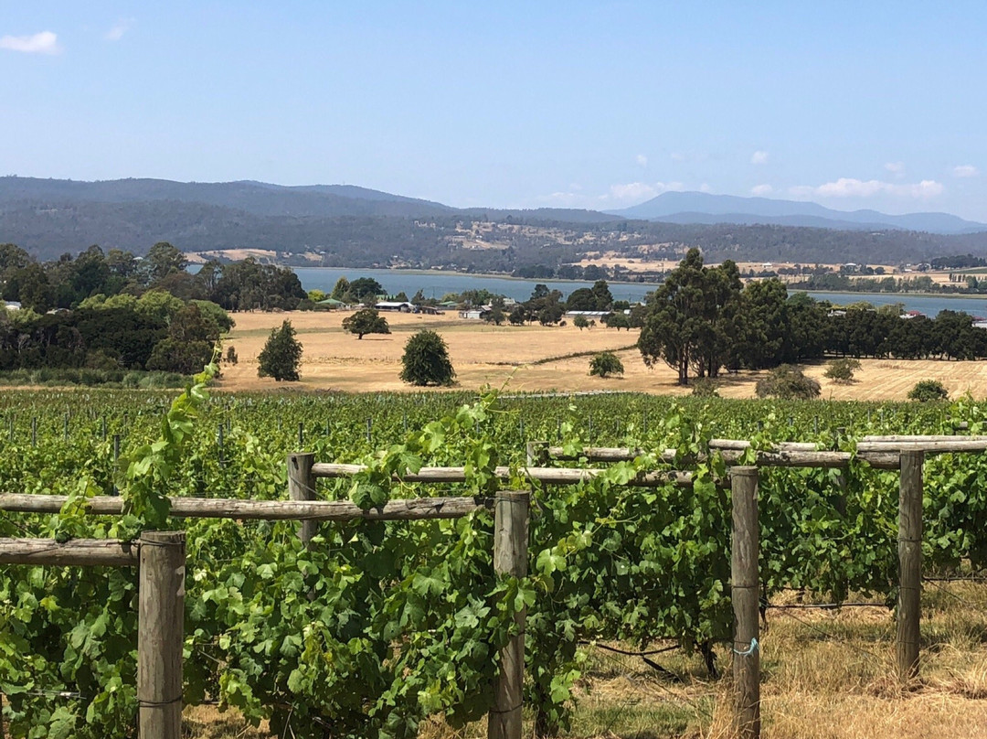 Stoney Rise Vineyard-Gravelly Beach必去景点