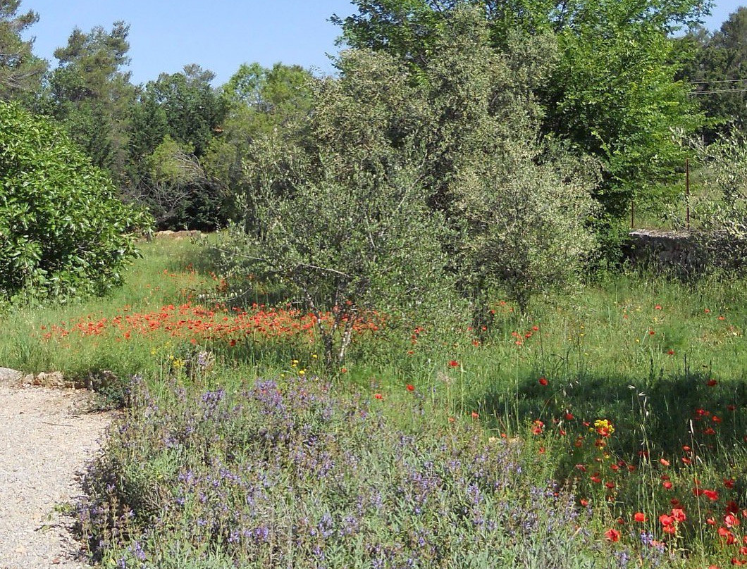 Bastide La Folle du Logis主图