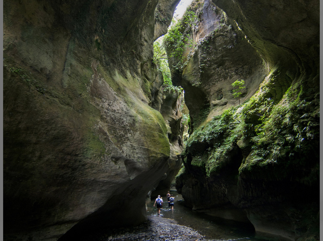 Patuna Farm Adventures景点图片
