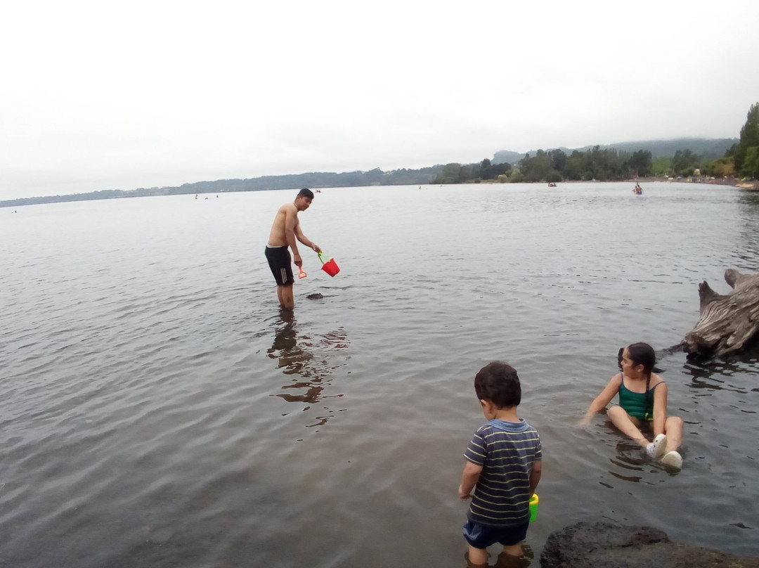 Puente Chirre-Rio Bueno必去景点