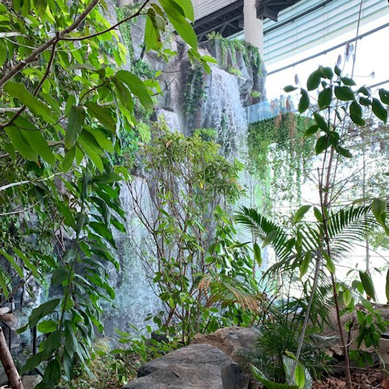 Rama 9 Museum-空銮必去景点