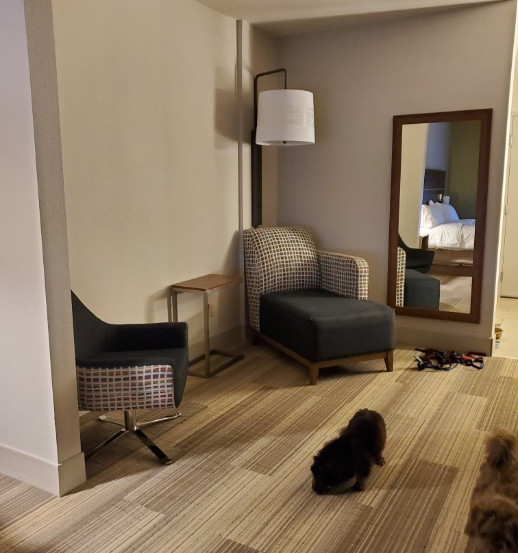 Holiday Inn Express & Suites Brentwood By IHG主图