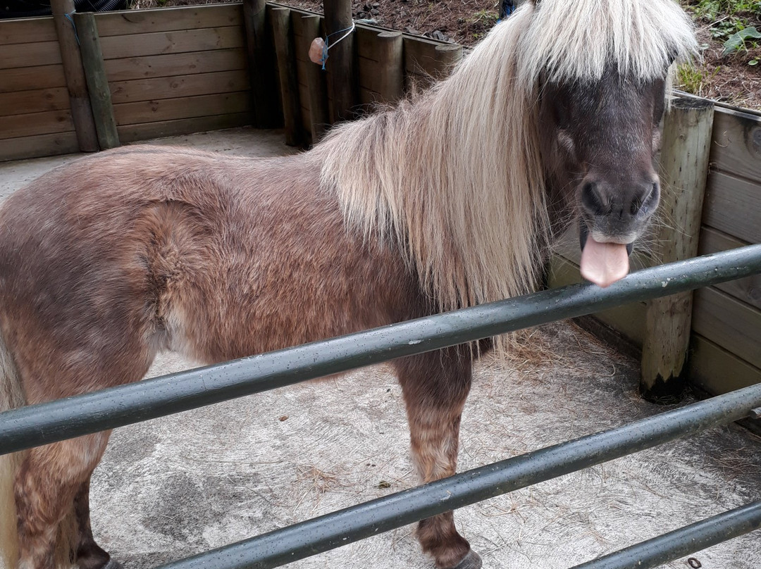 Kokohuia Lodge主图