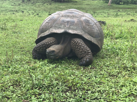 Good Life Expeditions-利马必去景点