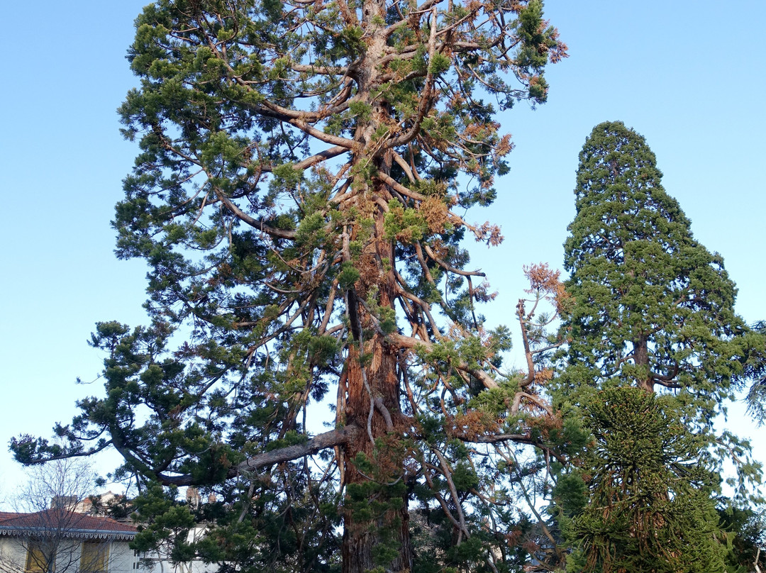 Jardin Lecoq景点图片