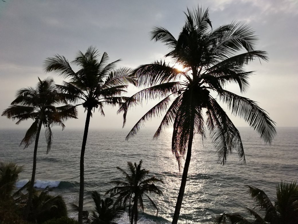 阿希尔海滩度假村主图