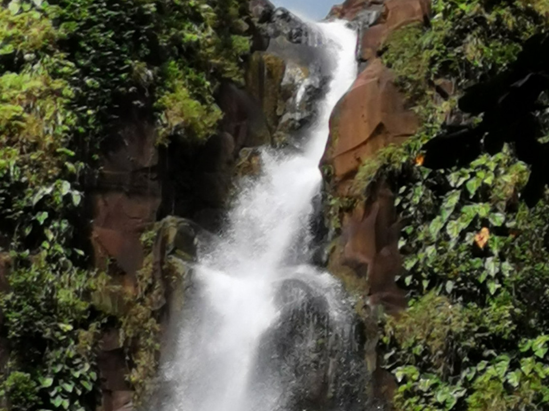 Carbet Falls (Les Chutes du Carbet)景点图片