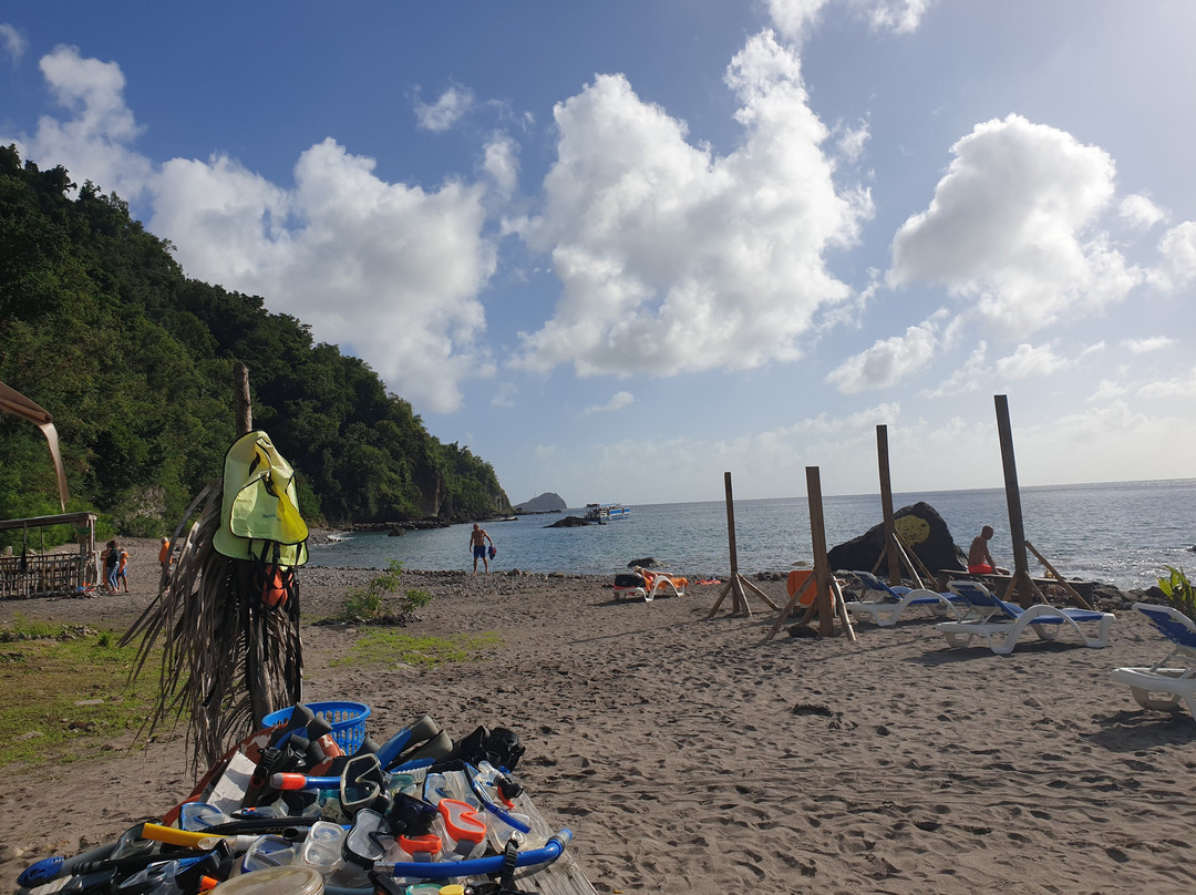 Champagne Reef Dive & Snorkel-罗索必去景点