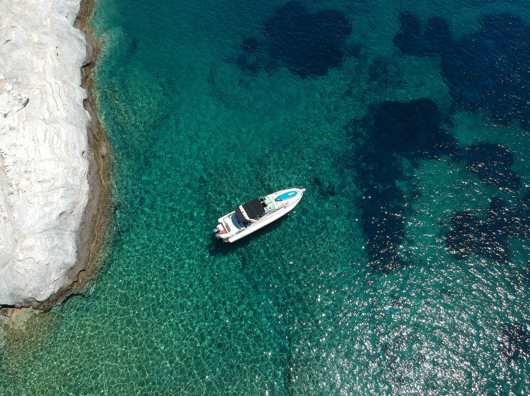 Sea Arrow景点图片