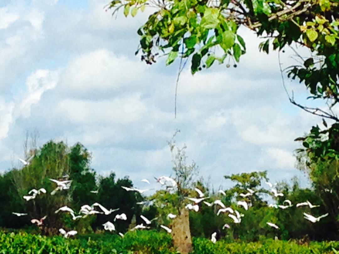 The Atchafalaya Experience景点图片