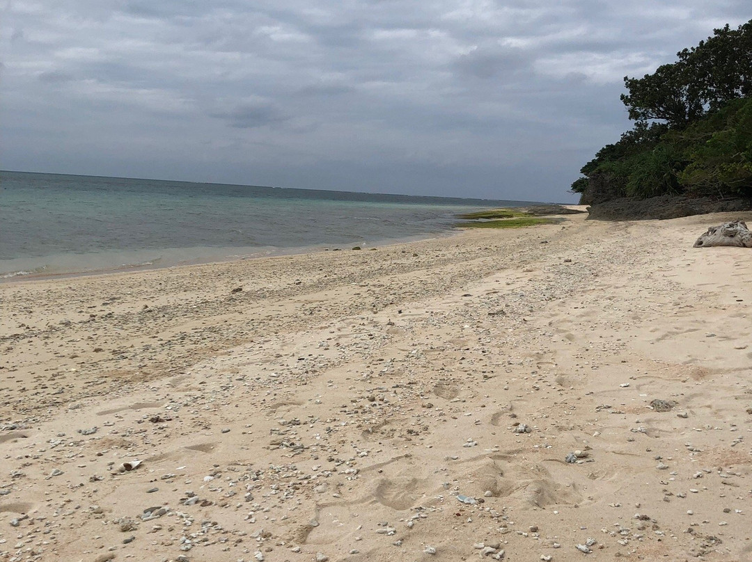 Yara Beach景点图片