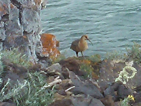 Laguna Azul-Rio Gallegos必去景点