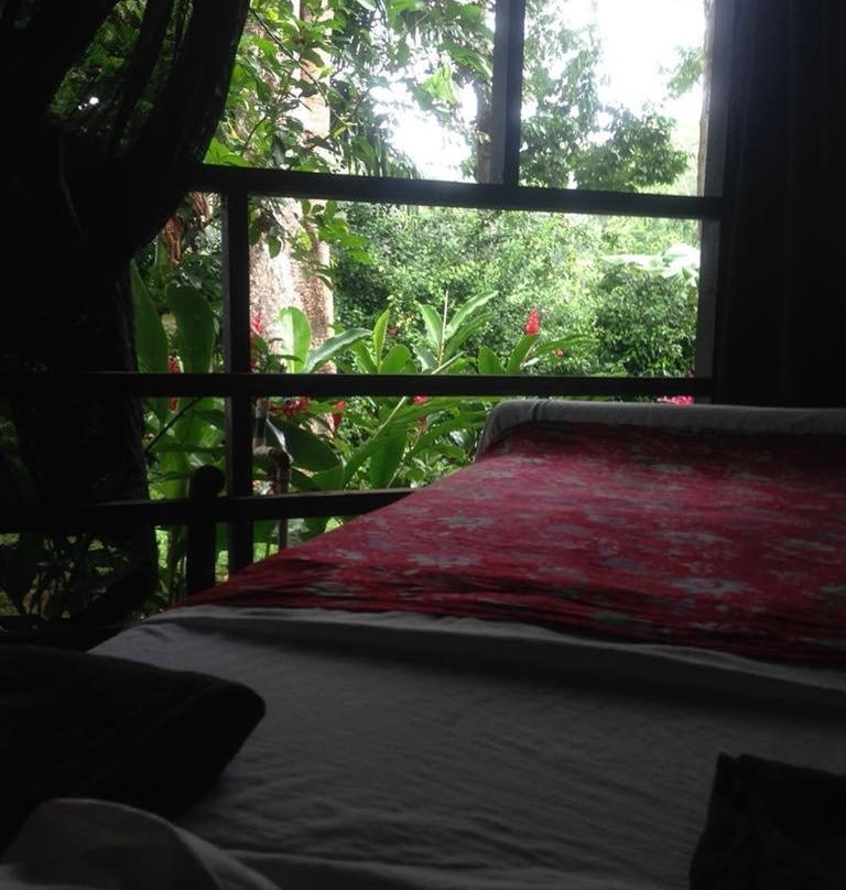Grateful Surf Yoga & Ayurveda景点图片