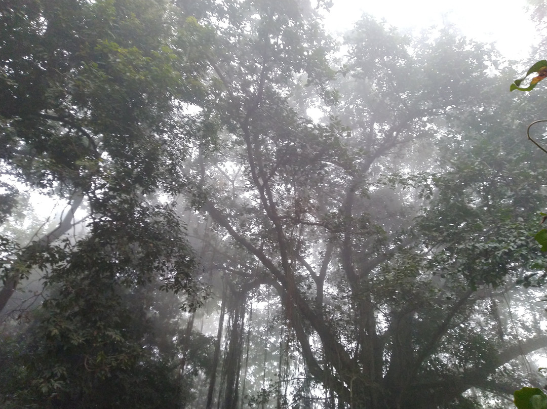 Daring Badi-普里必去景点