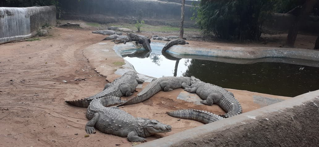 Gandhi Prani Udhyan-瓜廖尔必去景点